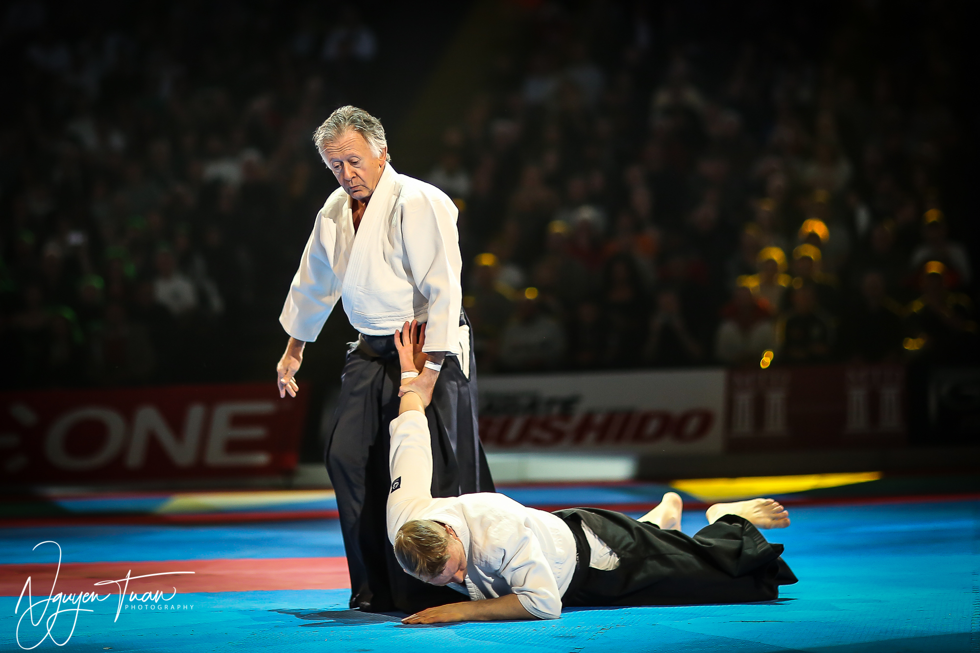 20190324 Festival des Arts Martiaux 2447